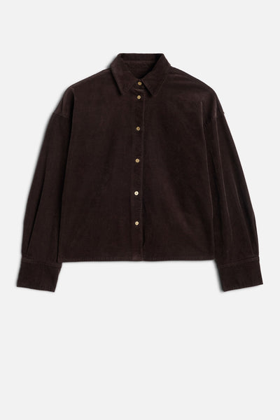 Corduroy Nina Cropped Shirt in Coffee Bean